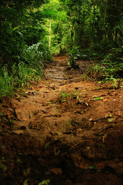 Hiking Gn. Salak Mepo Basecamp Cimelati